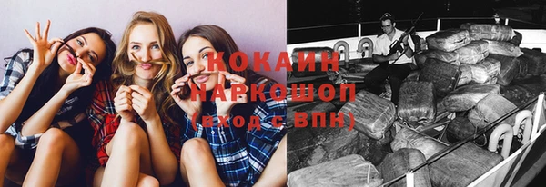 сатива Краснотурьинск